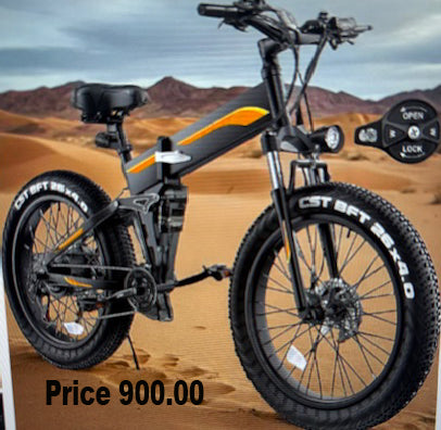 Electric Bike