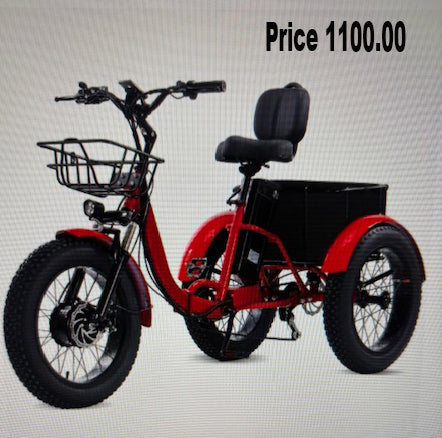 3 wheel electric bike