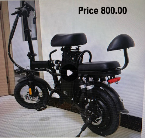 Electric Bike